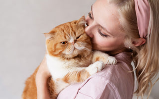 Understanding Cat Behavior: Tips for a Harmonious Home