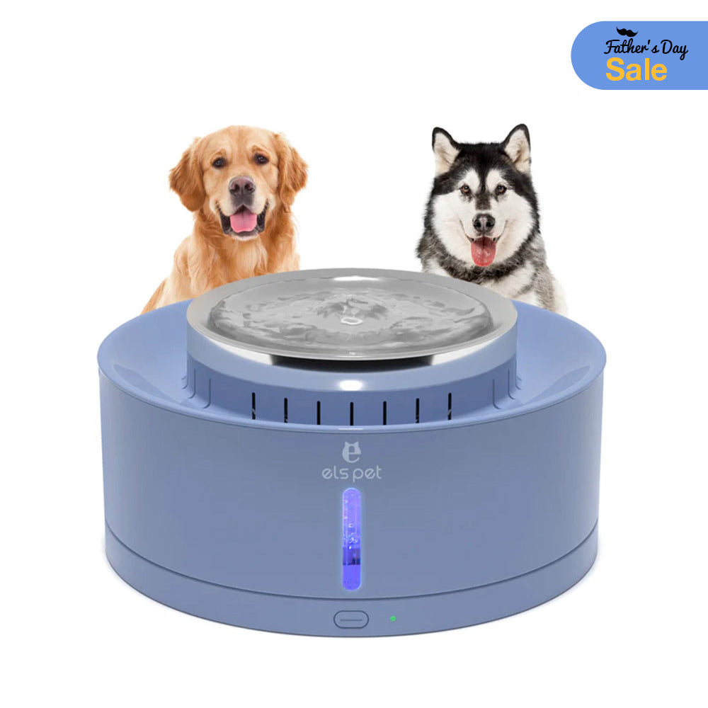 270oz/8L Automatic Dog Water Fountain