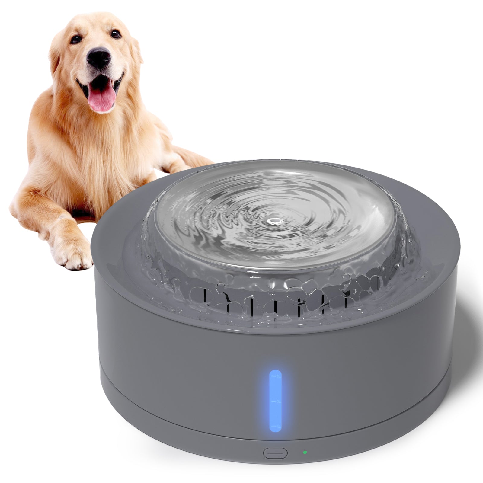 Pets Stop RDB17 Visions Double Elevated Dog Bowl - Small, 1 - Ralphs
