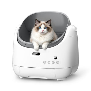 Elspet Open Top Self-Cleaning Cat Litter Box