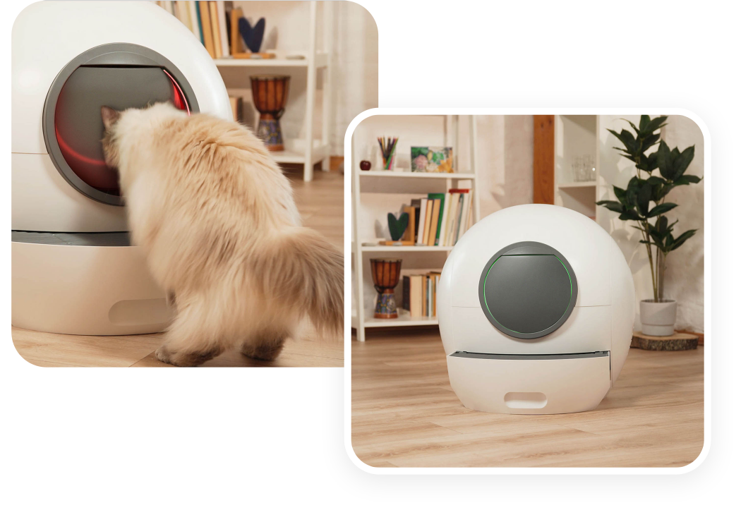 Pets at home cat litter box online