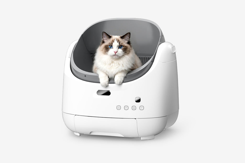 Open-Top Self-Cleaning Cat Litter Box