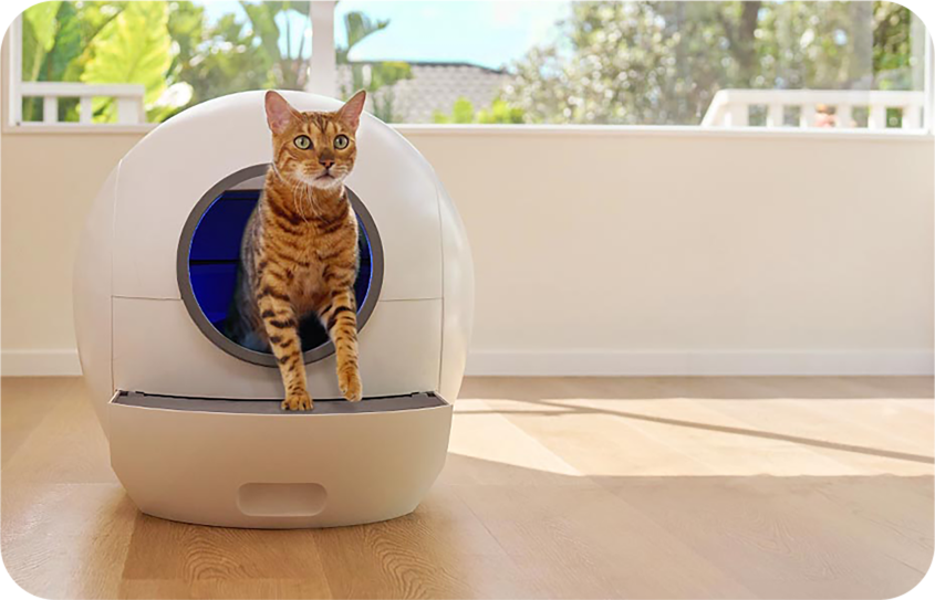 Low Price Ever Els Pet Spaceship 1 Automatic Litter Box
