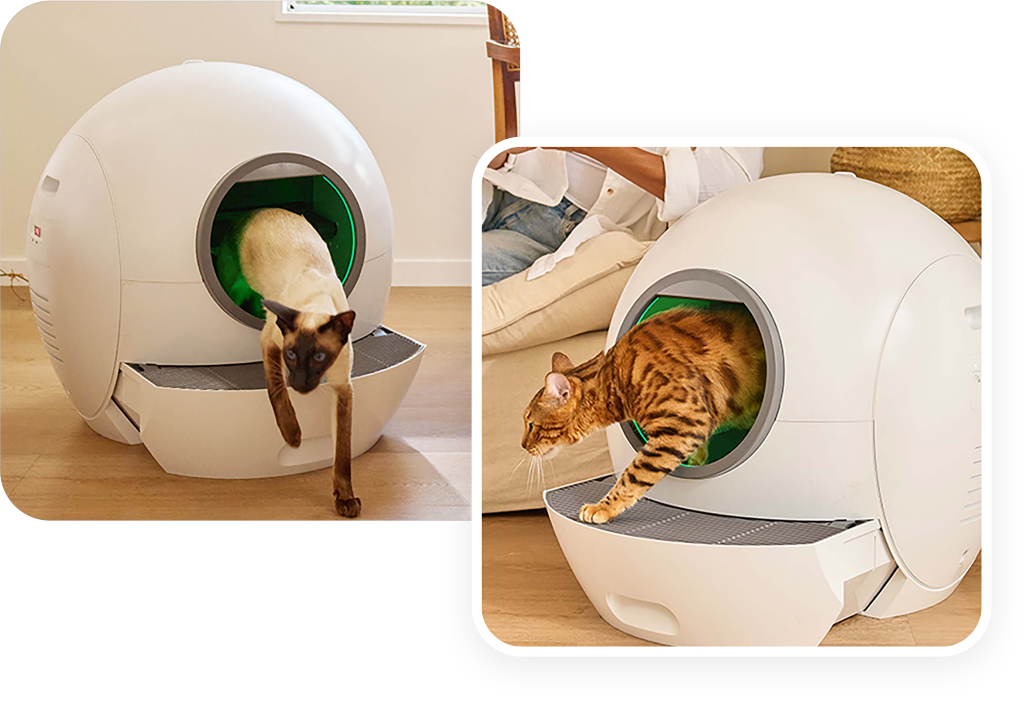 Pawtners Toilet Kitty Litter Box Els Pet Self-Cleaning Litter Box