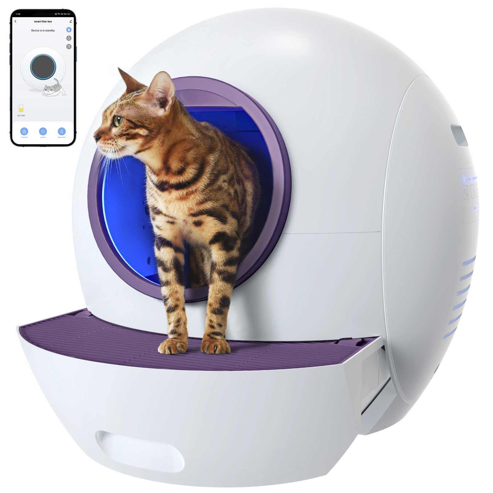 Easy Clean Large Litter Toilet Cat Litter Box - China Pet Products and Pet  Supply price