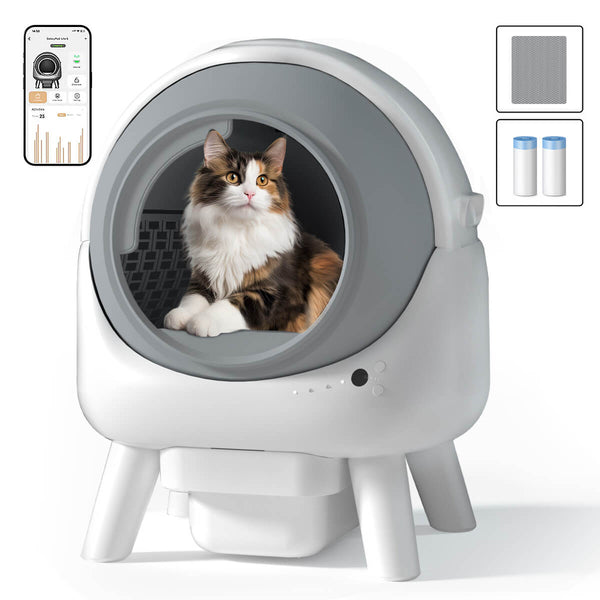 How to Get Cat to Use Automatic Litter Box: Easy Proven Tips