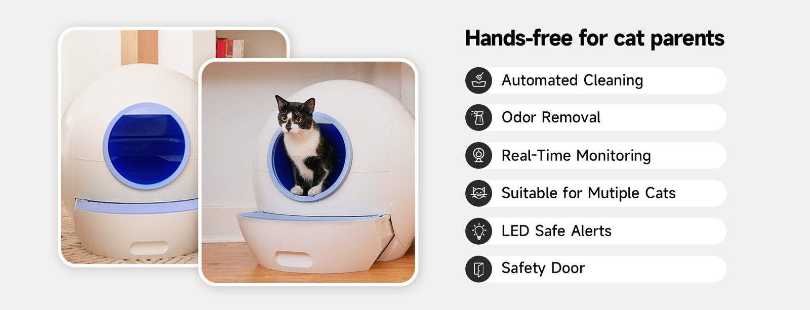 elspet Cat Litter Box