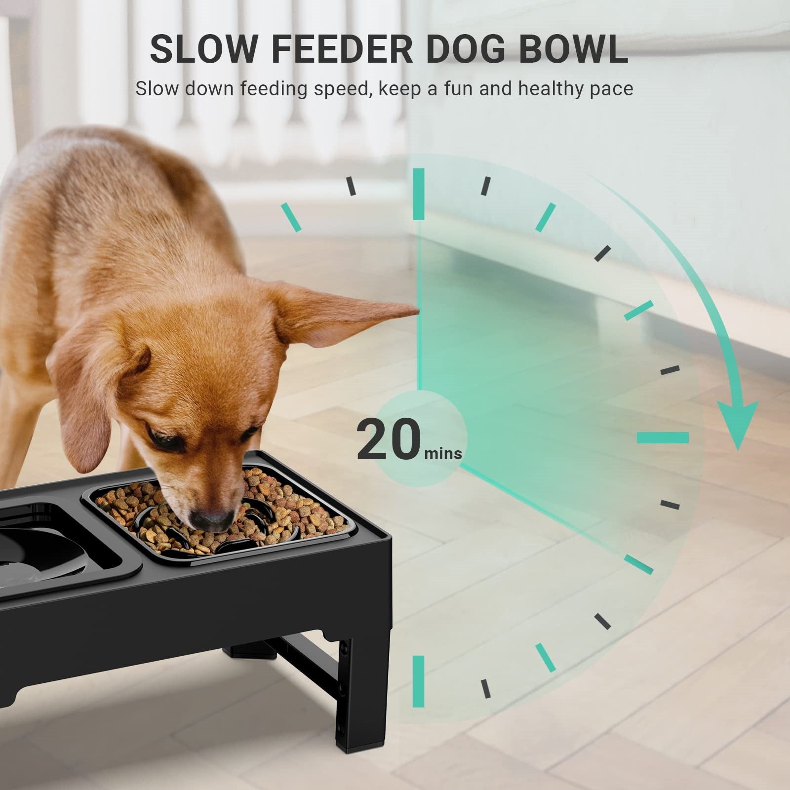 Should I Be Using An Elevated Bowl To Feed My Dog?